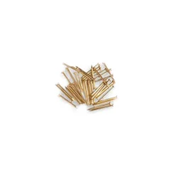 Artesania Latina messing spijkertjes 5mm lang en 200 stuks