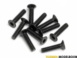 FLAT HEAD SCREW 10pcs – HPIZ449
