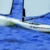 Joysway Dragon Flite 95 V2 Racing Sailing Yacht ARTR (Model 2023)