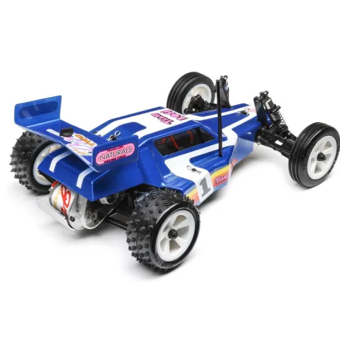 Losi 1/16 Mini JRX2 Brushed 2WD Buggy RTR Blue
