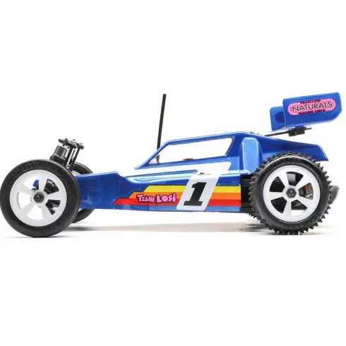 Losi 1/16 Mini JRX2 Brushed 2WD Buggy RTR Blue