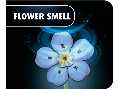Revell Blossom Festival – RV-00630