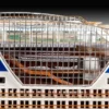 Revell Cruiser Ship AIDAblu, AIDAsol, AIDAmar, AIDAstella in 1:400 bouwpakket
